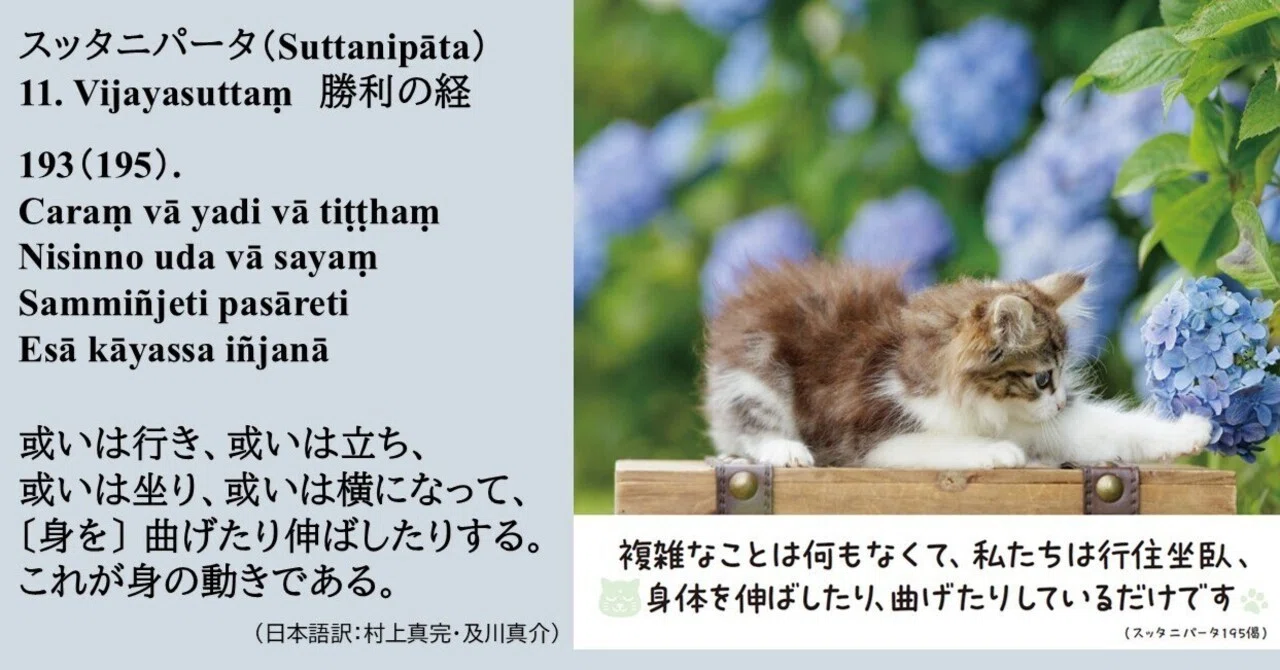 不浄観で達する「色即是空」 スッタニパータの注釈書を読む ｜ゆるねこ 