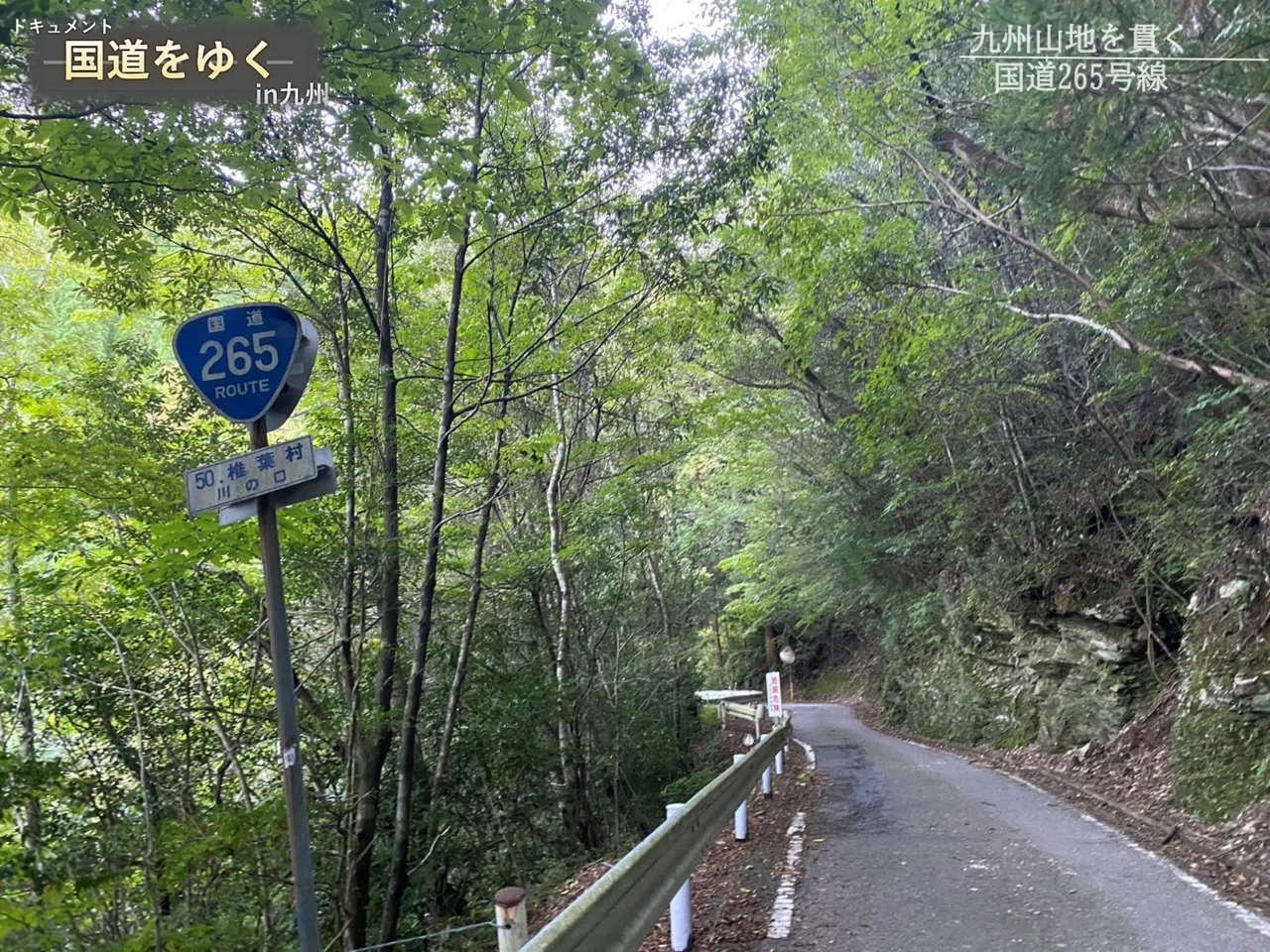 Exploring 'Kokudo'] A Journey to Traverse 'Route 265' Cutting
