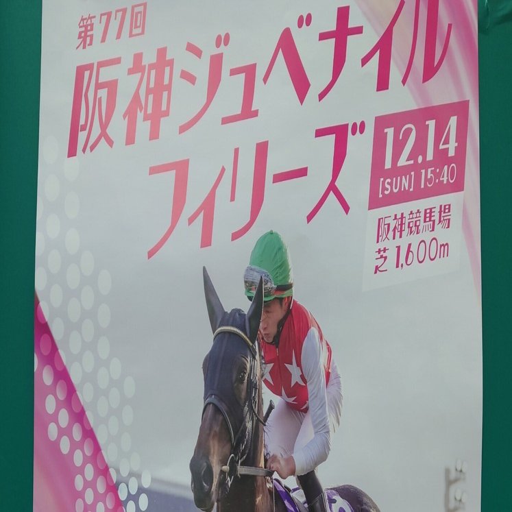 第77回阪神ジュベナイルフィリーズ｜KATSU－GAMBA