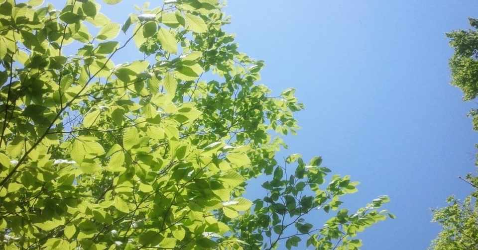 Prince Princessに劇的に救われたかったオタクの話 りりり Note