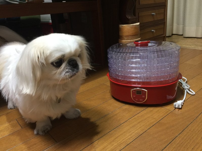 ドッグフードと手作り食 どっちが良いの ドッグライフサポーター 獅子パパ Note