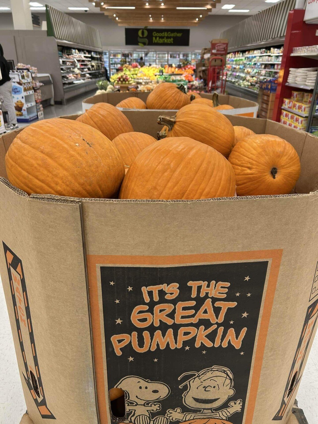 パンプキング パンプキンがたくさん - Picture of Patterson Fruit Farms