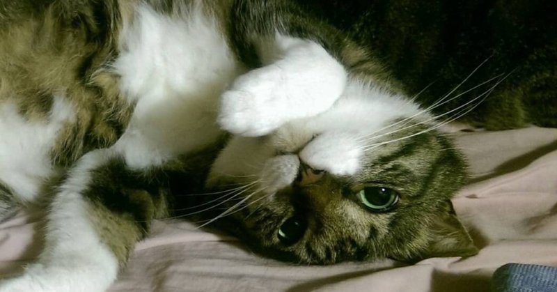 世界一かわいい朝の起こし方 いだに Note