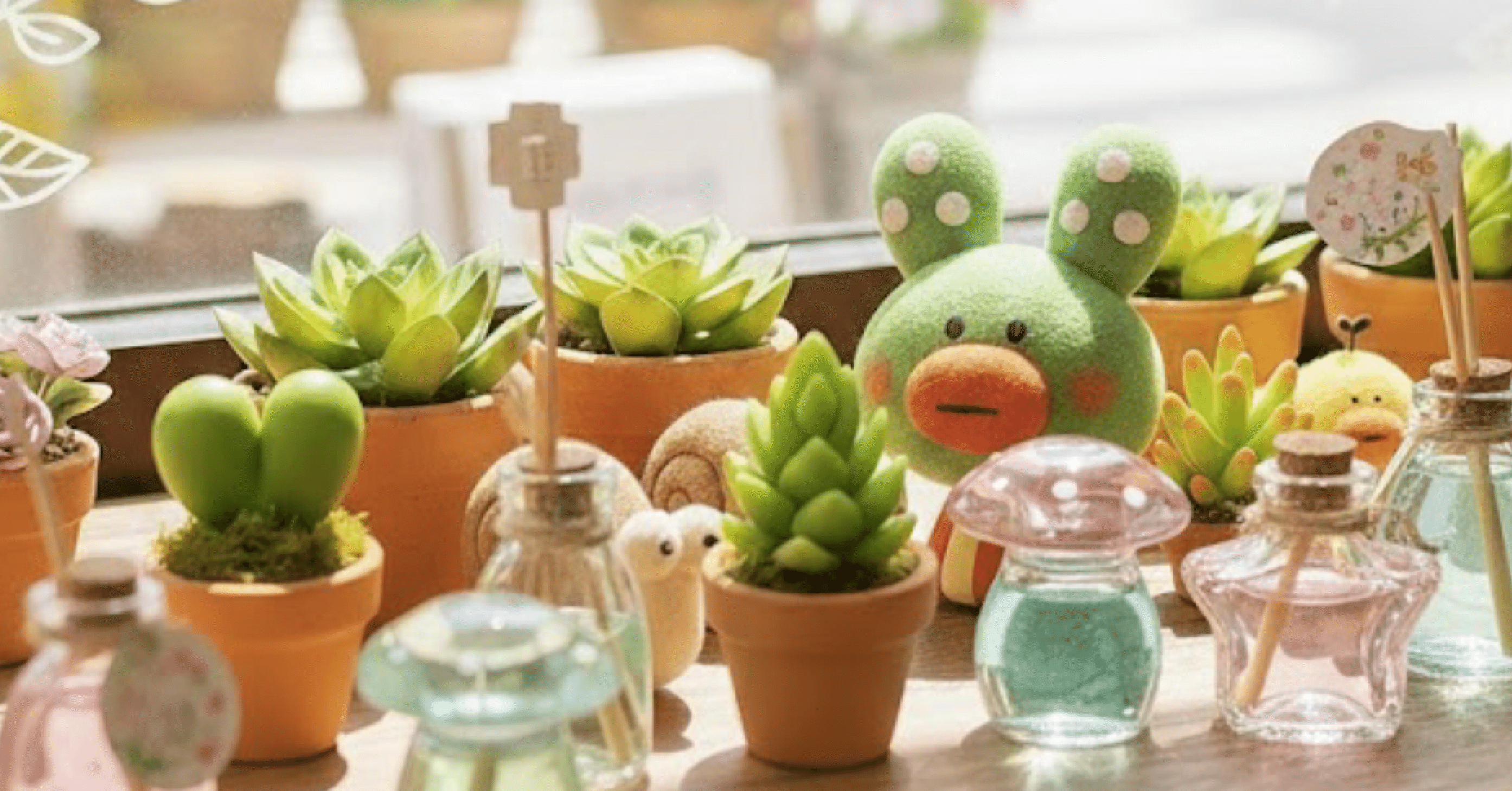 はじめまして植物キラーです！｜SABOBACKSっていうブランド作りました！