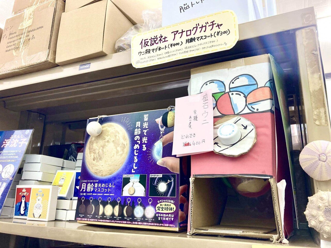 お店のディスプレイにいかがでしょうか 狭い店舗のディスプレイに“あーでもないこーでもない”してます｜仮説社