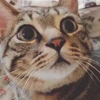 ちいさん