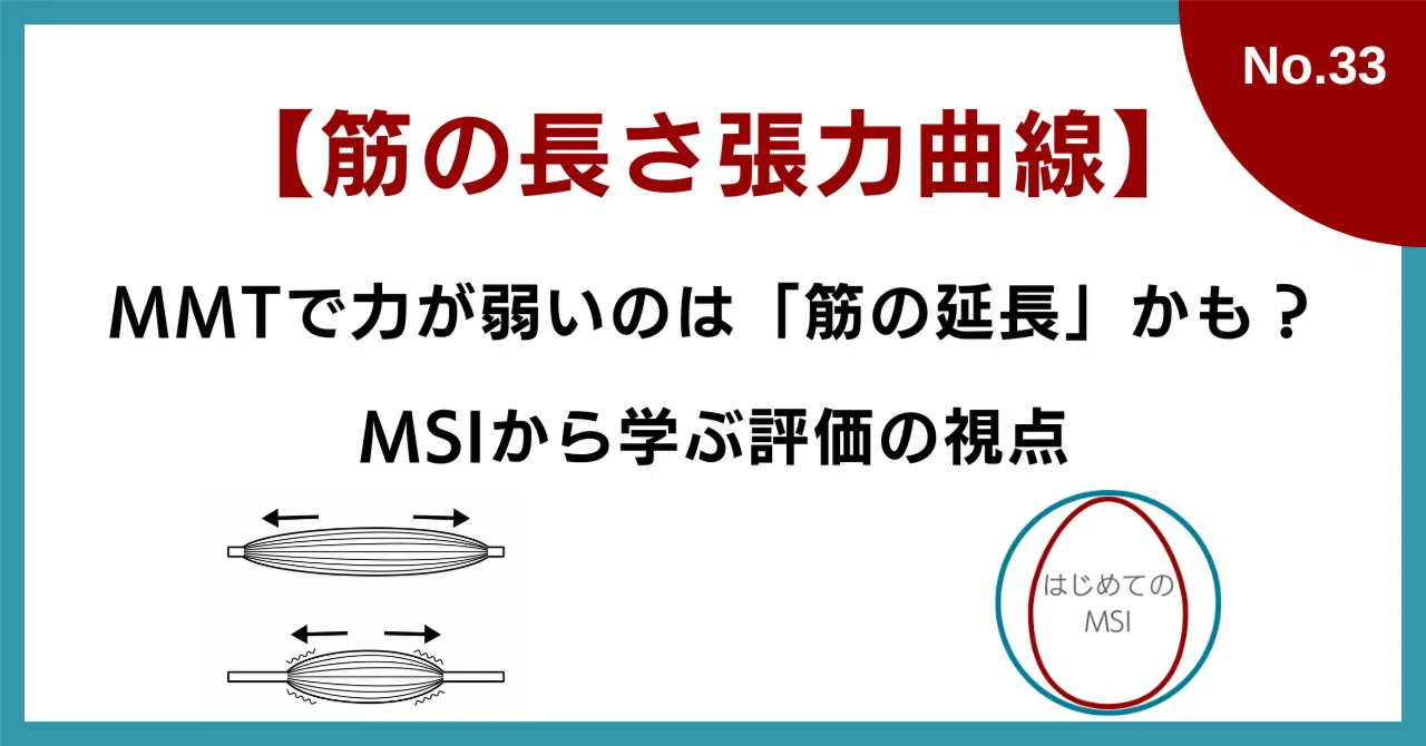 筋の長さ張力曲線：MMTで力が弱いのは「筋の延長」かも？MSIから学ぶ