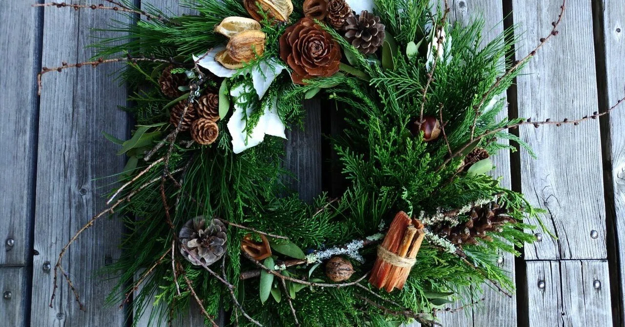 Activity Report] The Challenge of the Forest-Protecting Christmas