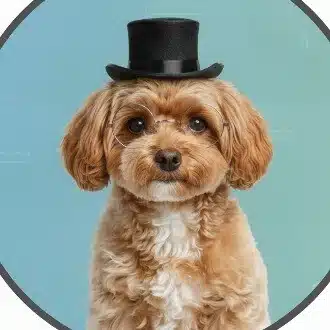 とと　の独り言