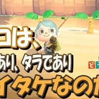 あつ森から学ぶ生物の話 もう私 スズキ を釣って肩を落とせません が またお前か 緑木リョク Note あつ森から学ぶ生物の話 もう私 スズキ を釣って肩を落とせません が またお前か 緑木リョク Note