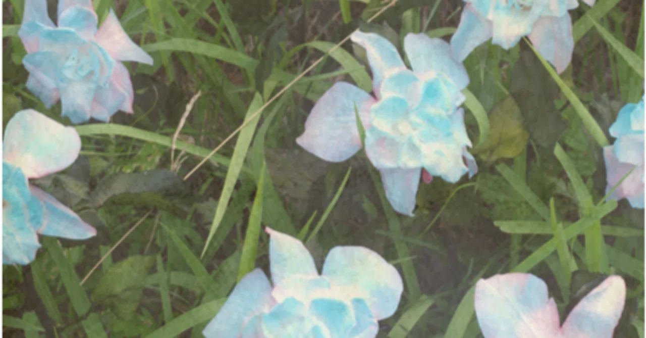 RUN SEOKJIN_EP.TOURと花様年華。｜Salt
