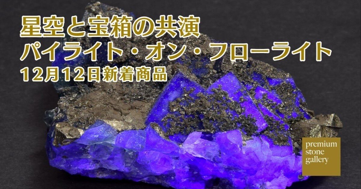 フローライトとヘマタイトの鉱物コレクション フローライトとヘマタイトの鉱物コレクション A974015 最高