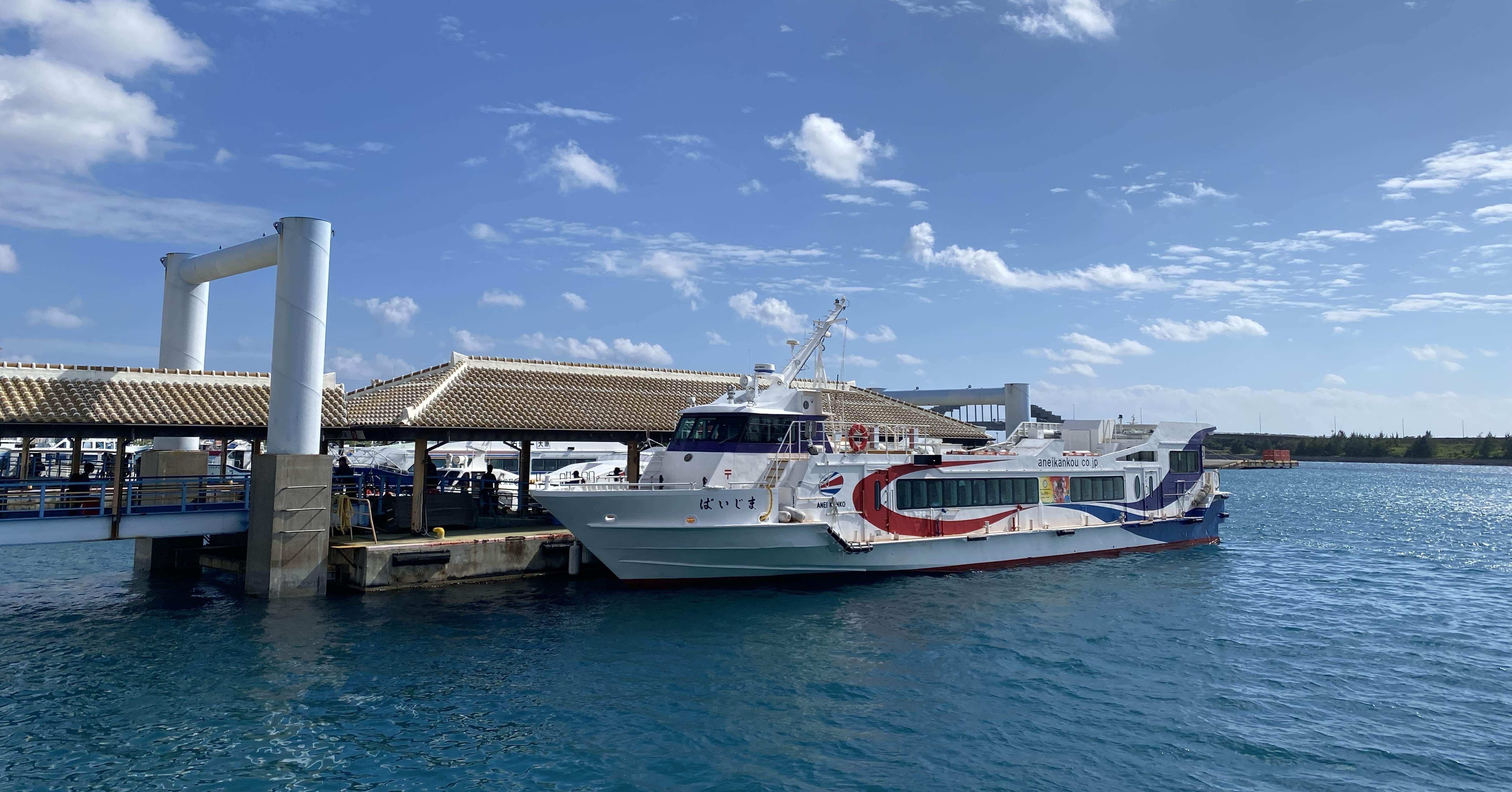 C061 彩なす海のユンタII 八車山 SJV-2034 見本　サンプル 羽田ー石垣ー名古屋の旅② 50歳のSFC修行｜めいこ＠旅するボタン屋