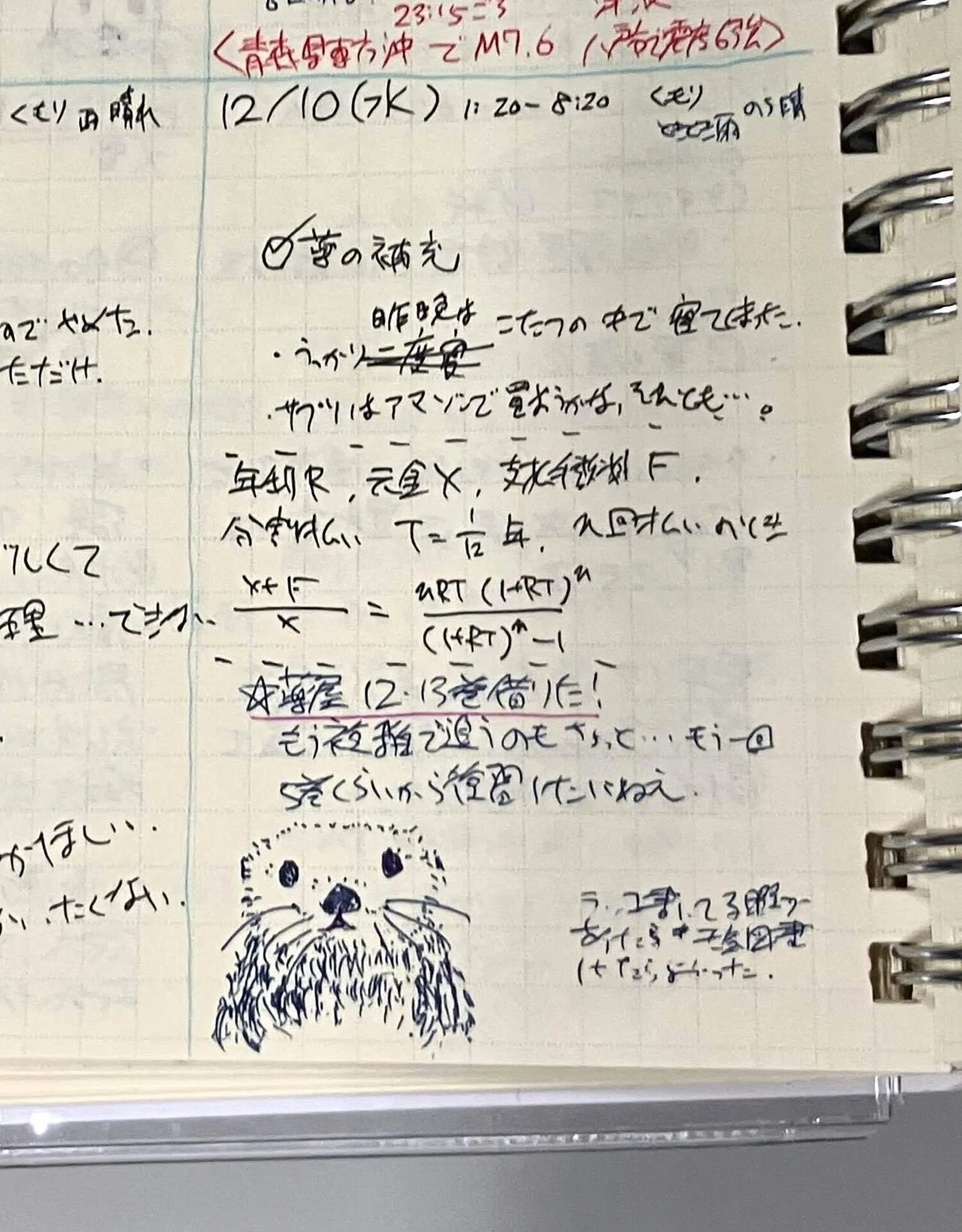 ロルバーンダイアリーの使い方がしっくりくるようになってきた｜Olivine