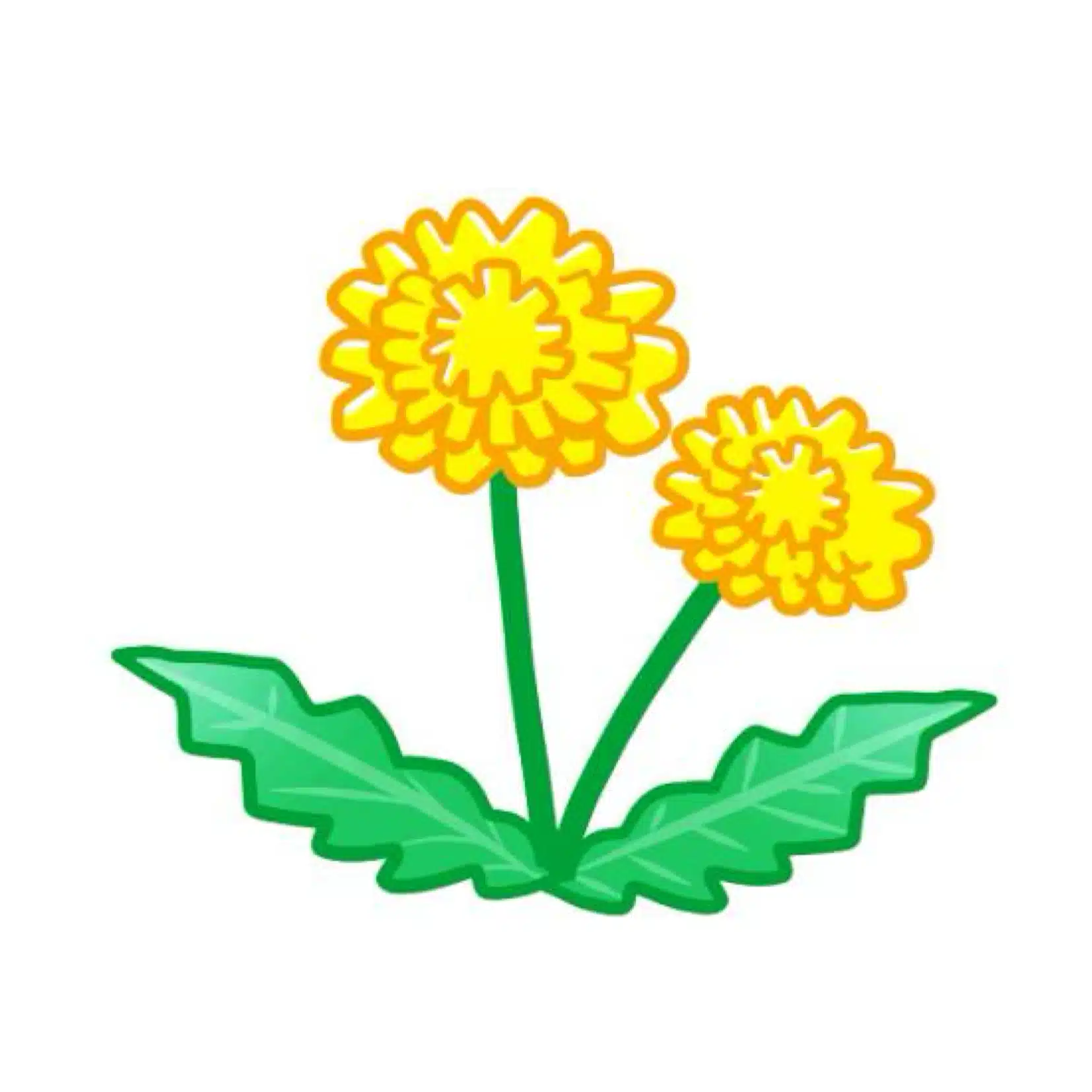 hana.hikari