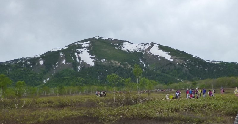 デンマークと 精子 卵子提供による未婚の親という選択 みから 未絡 Micara Note