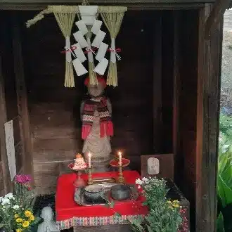 慈雨