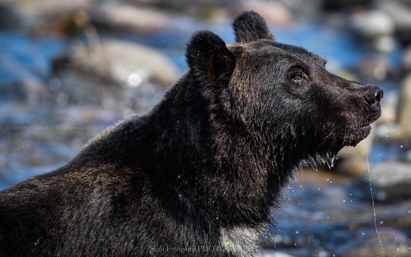 生き物zoom まとめ１ Sinh Note
