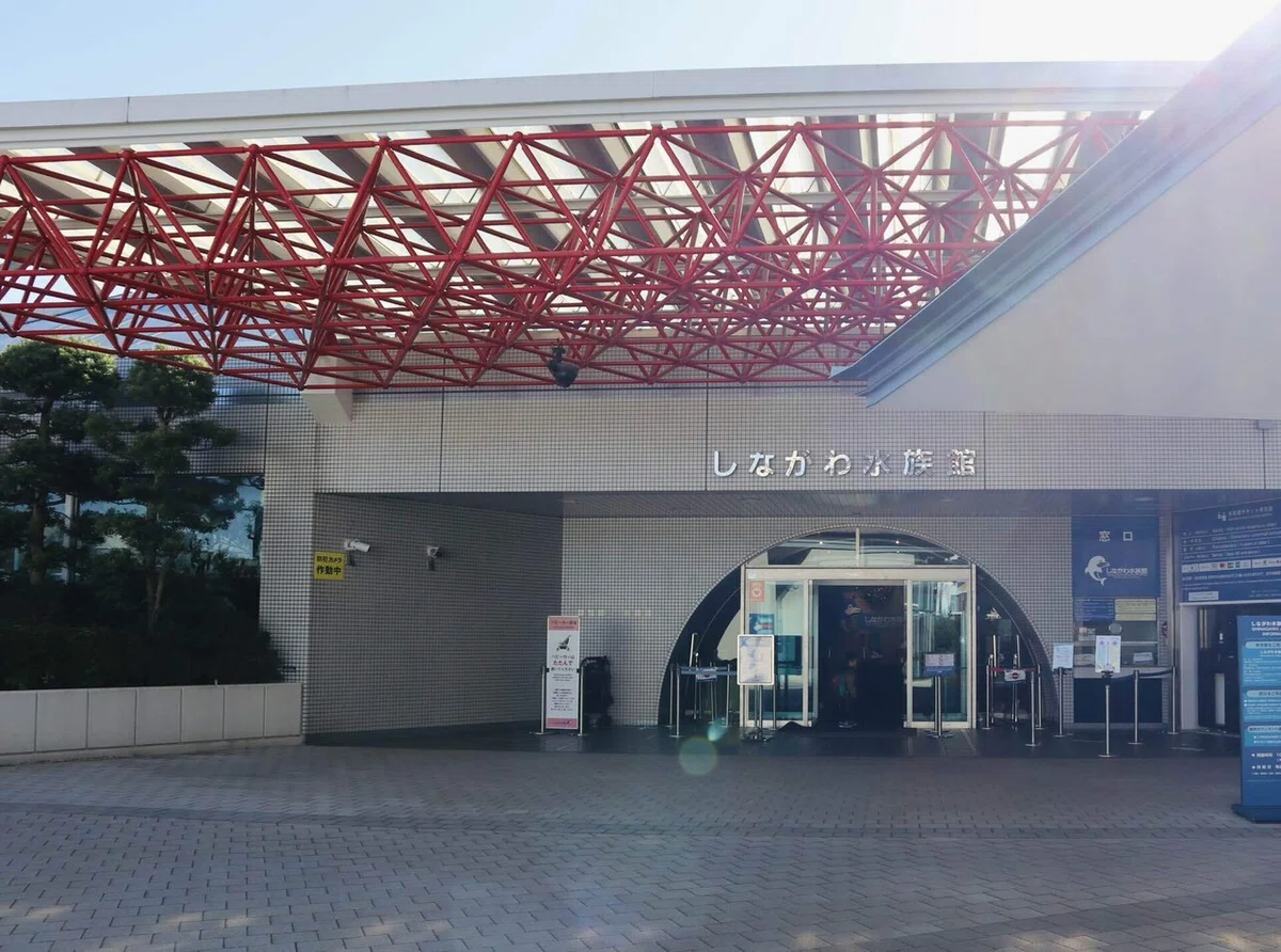 しながわ水族館｜オーロラ