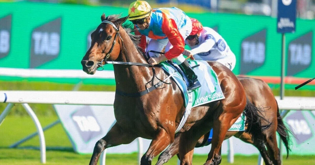 有力馬＆前哨戦編】香港スプリント2025：絶対王者カーインライジングに