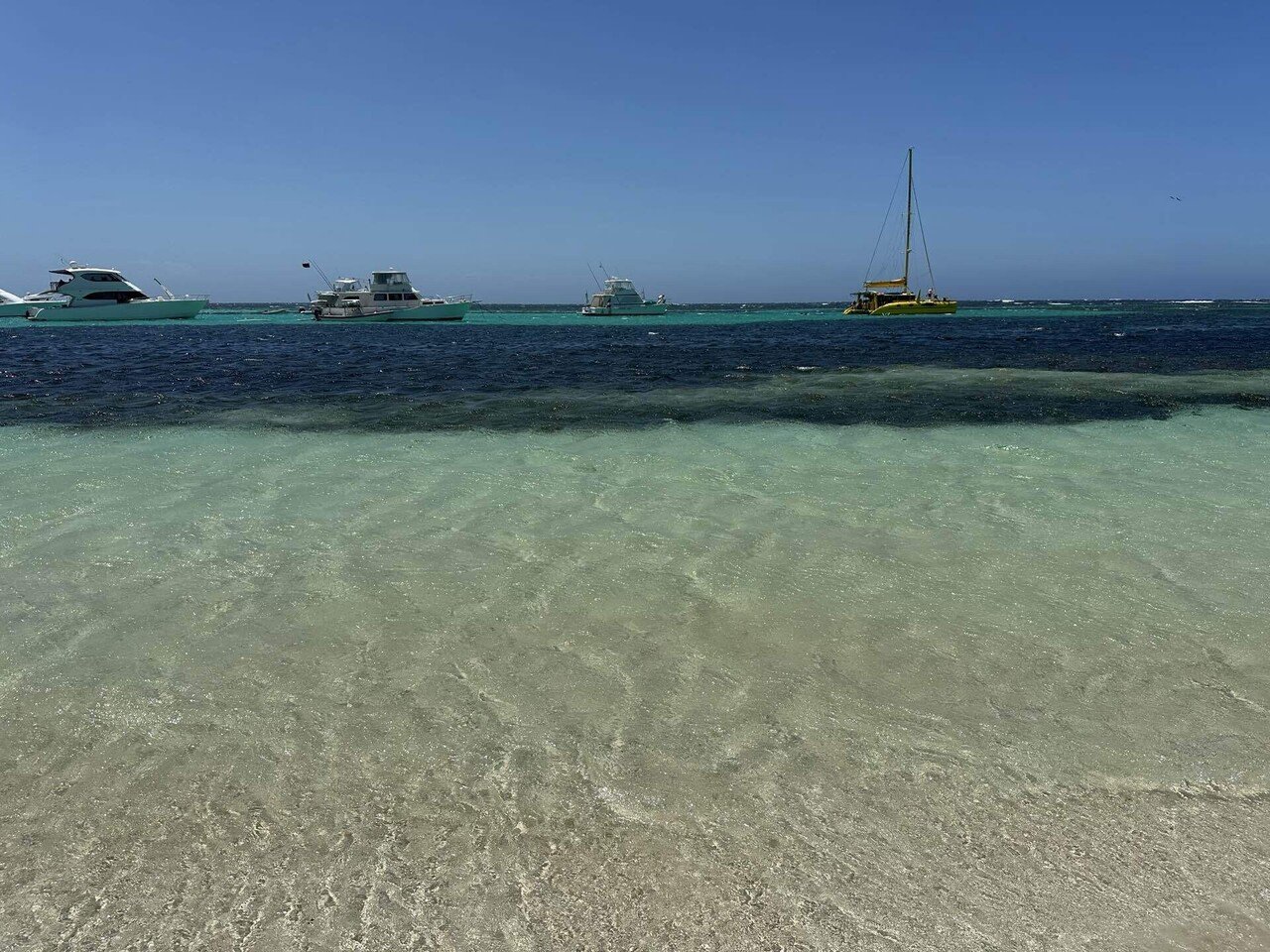 オーストラリア・パース vol.1】クオッカに幸せをもらった一日。ロット