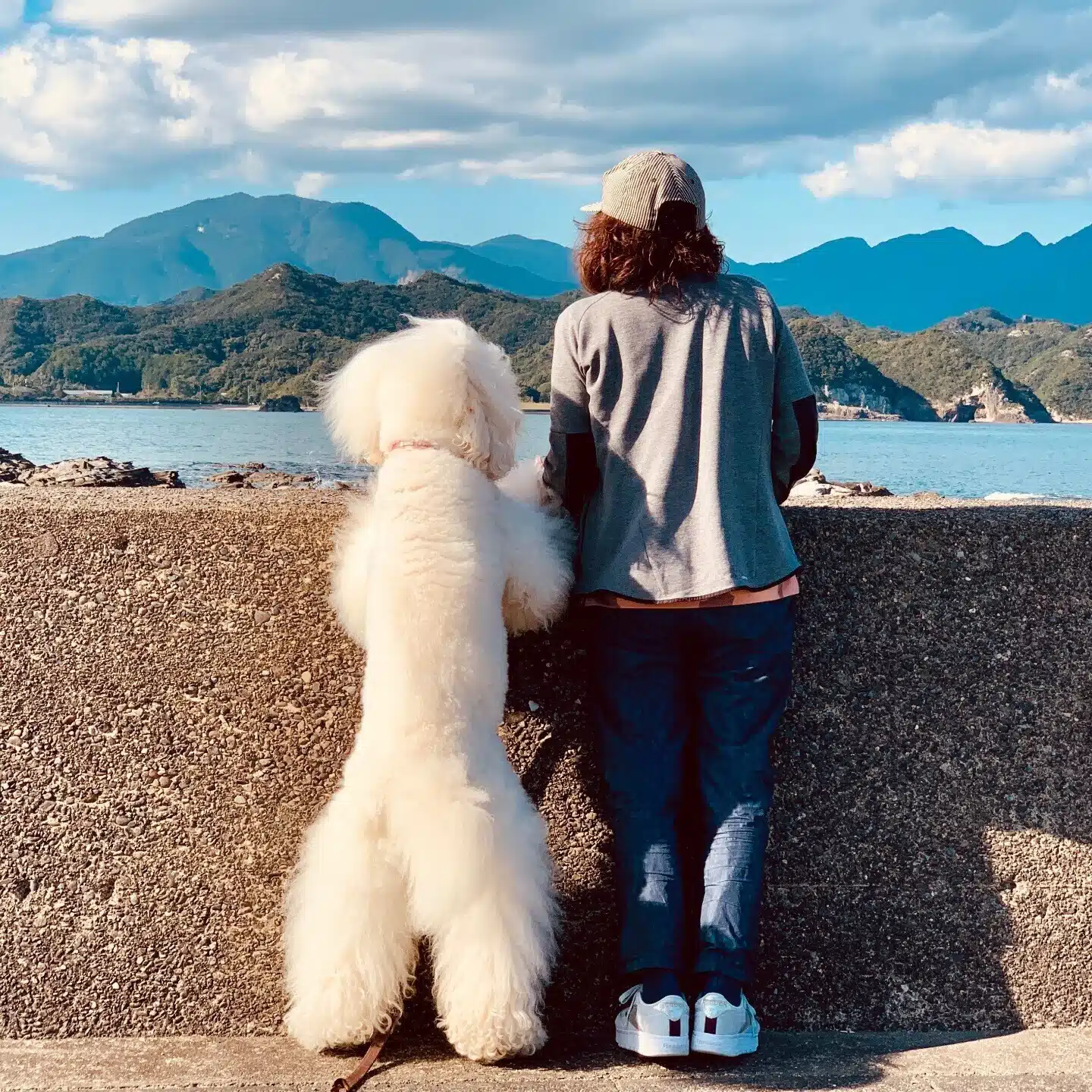安藤かずお｜犬と生きる