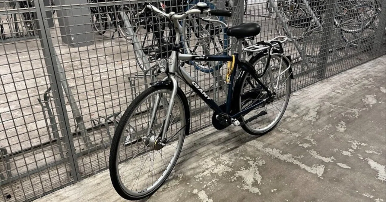 オランダの自転車事情｜ネオジェネ