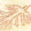 ブルガリアのヴァルナで発見された巨人の人骨と2002年にアフガンで4mの巨人を射殺した米軍人の告白 Flying Sabani Note ブルガリアのヴァルナで発見された巨人の人骨と2002年にアフガンで4mの巨人を射殺した米軍人の告白 Flying Sabani Note