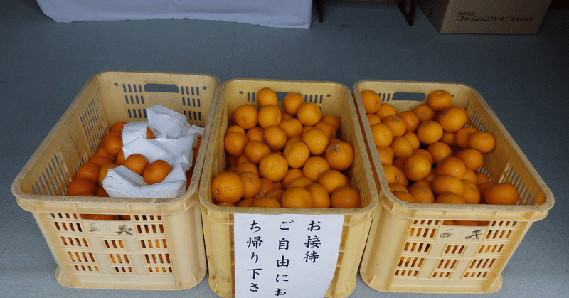 本場のオレンジは食べた人間の嗜好を変える