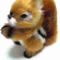 佐渡明美