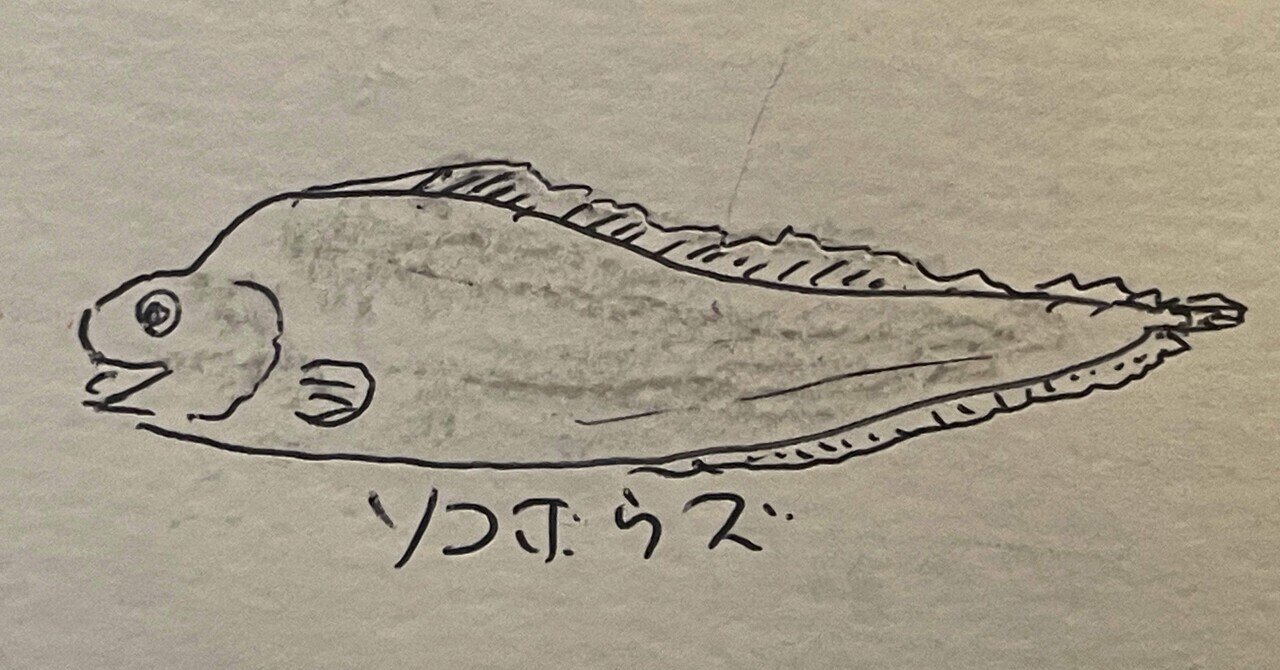 ザ!鉄腕DASH!! 2025.10.19 駿河湾の深海魚に挑む｜snaggedgorilla