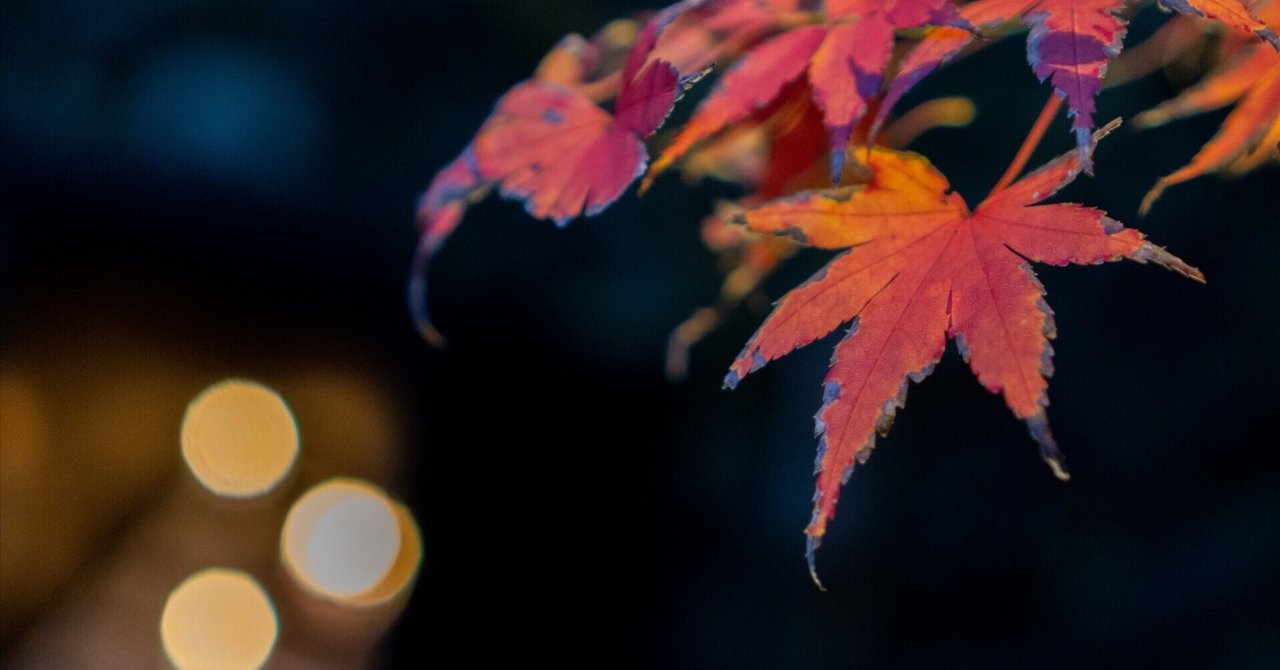【神奈川】紅葉ライトアップ〜長谷寺〜
