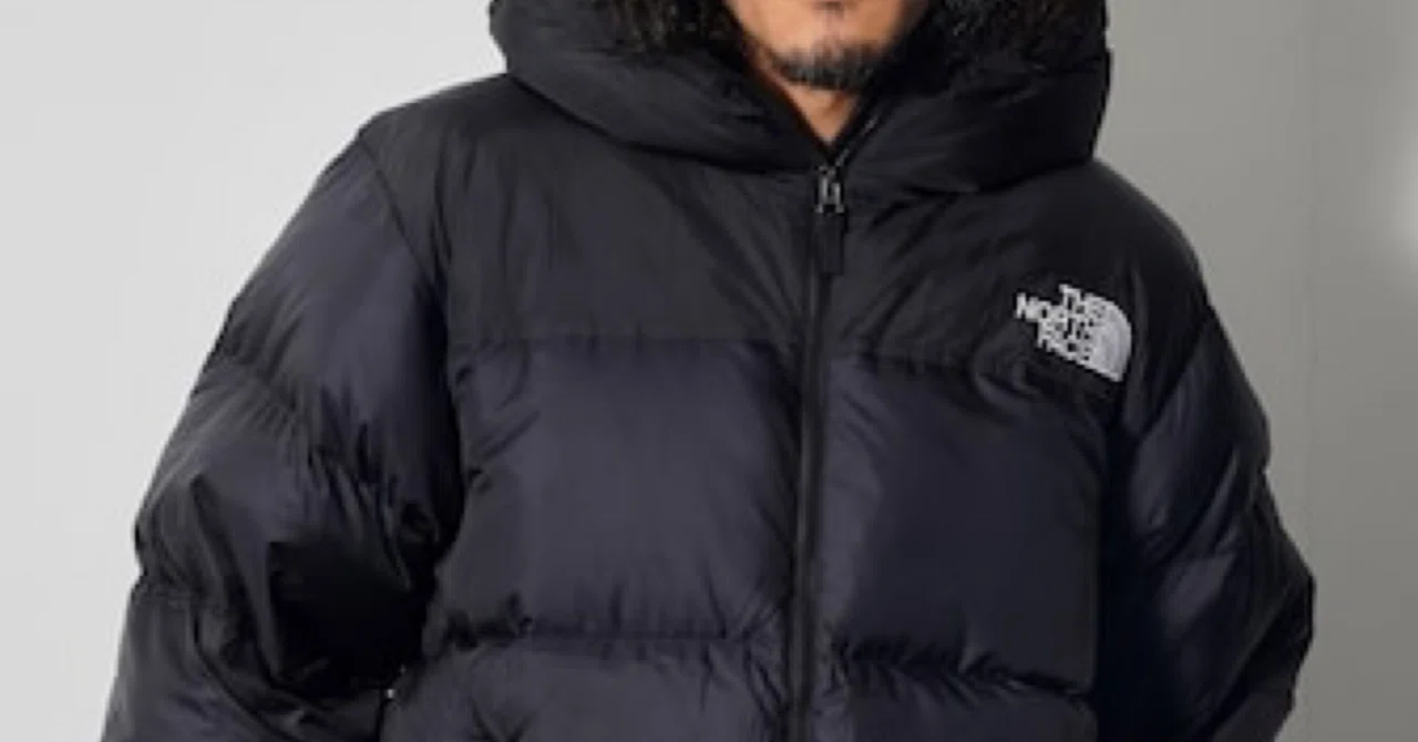 チャチャ丸【️韓国限定】THE NORTH FACE ダウンジャケット L ちょうど良いダウンジャケット｜チャチャ丸