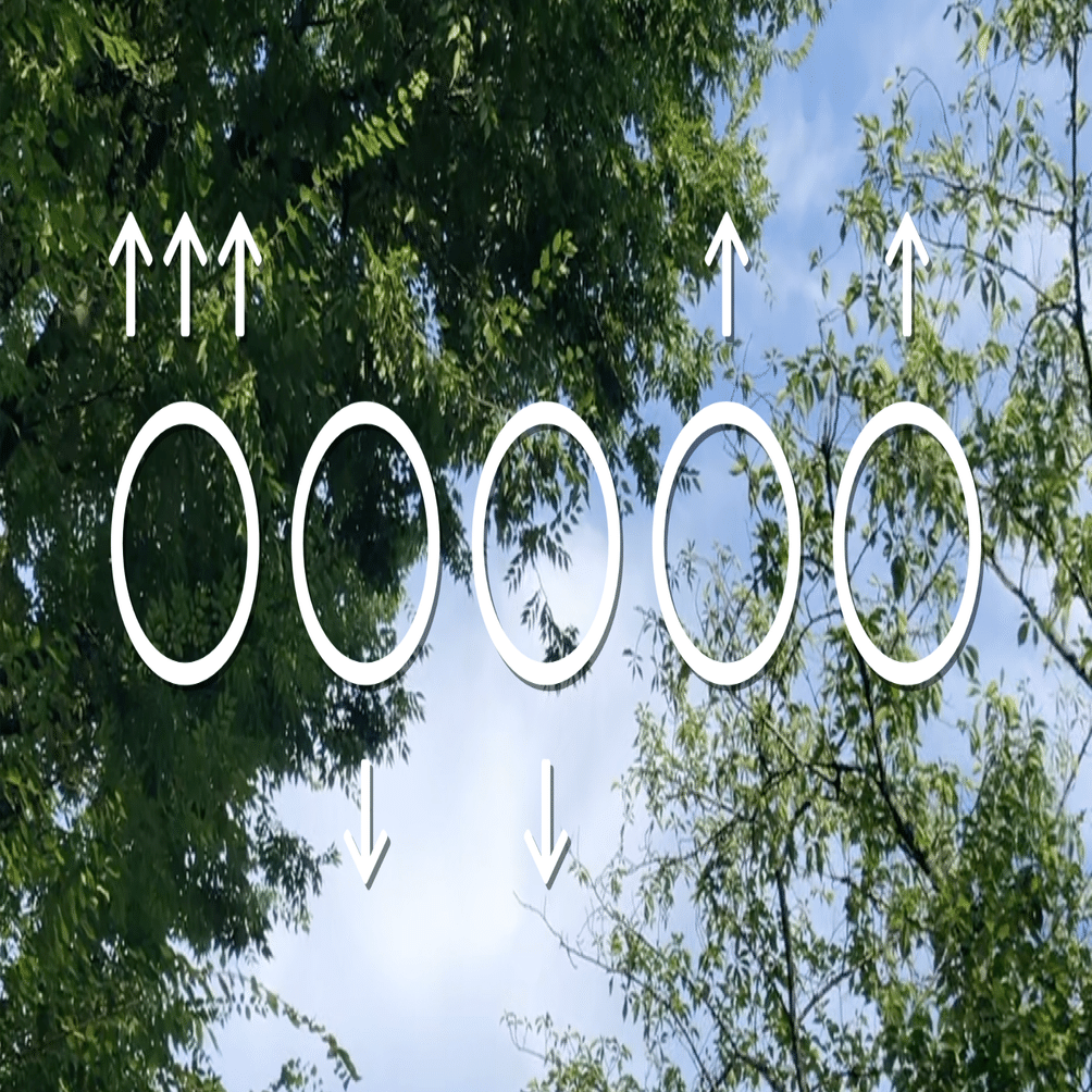 芹沢謎【1202】｜芹沢仁菜