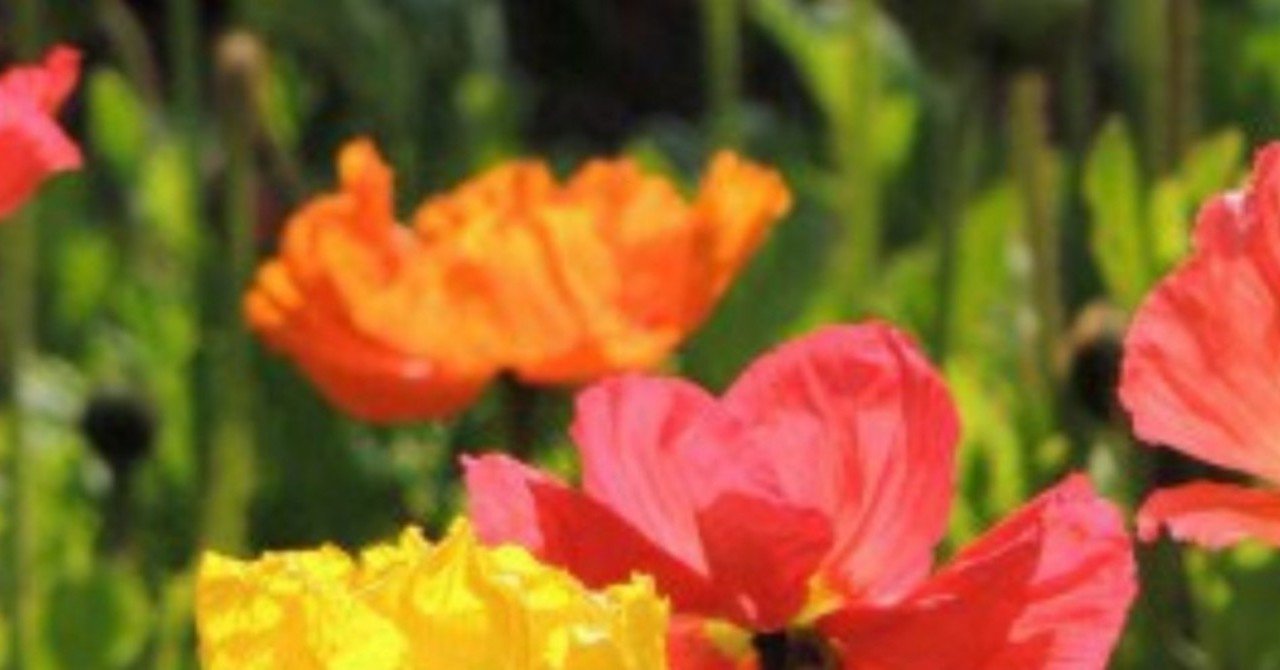 ポピーの会「封入体筋炎」患者の会