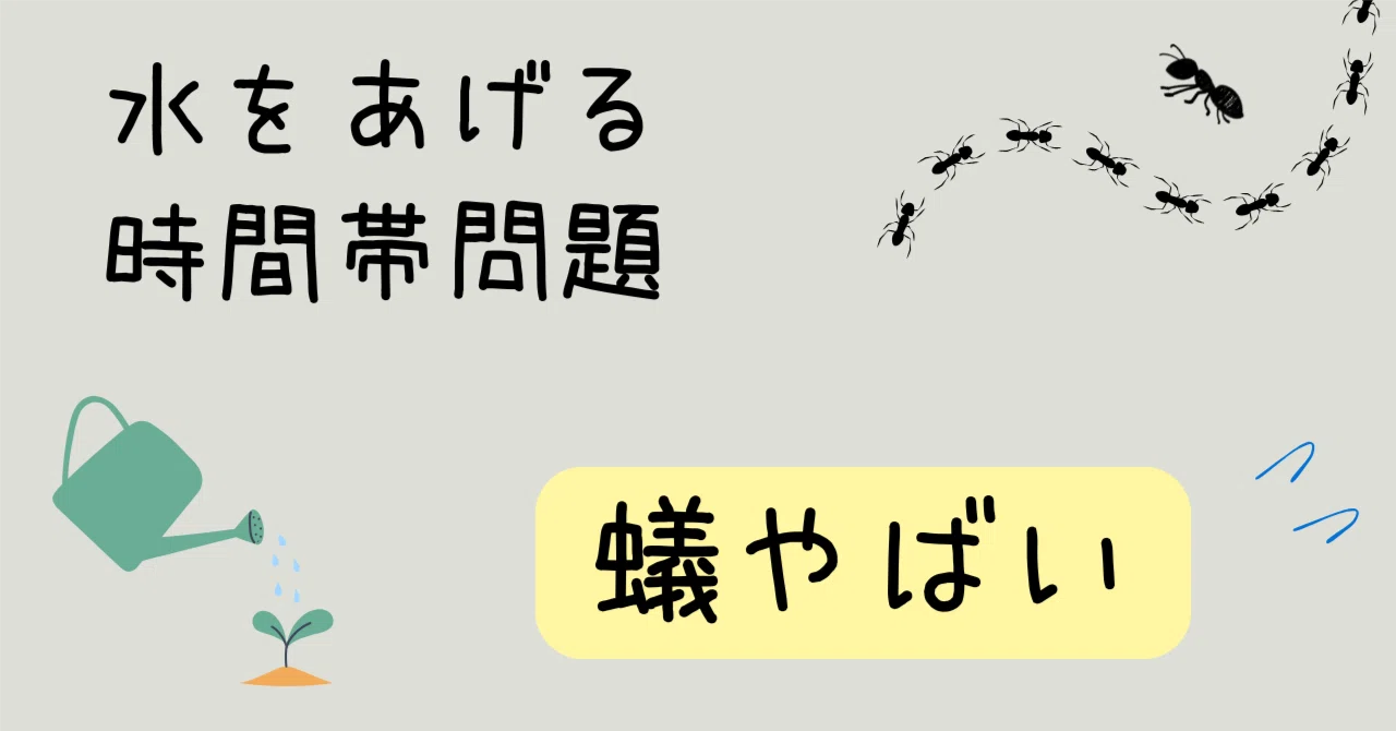 野菜 の 水 やり は 朝 か 夕方 か