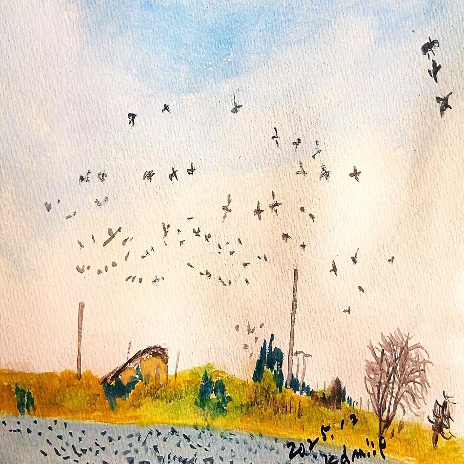 白鳥(多寄町)｜北海道の熊おやじ〜北海道の179市町村の歴史と観光