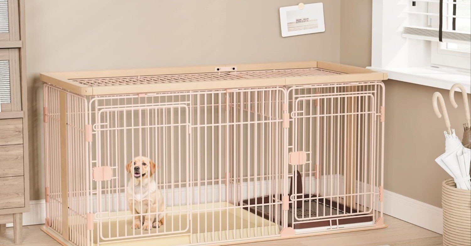 犬用ケージ 146cm 徹底レビュー!トイレトレーニングもできる木製大型