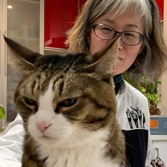 猫のブンちゃん の新着タグ記事一覧 Note つくる つながる とどける 猫のブンちゃん の新着タグ記事一覧 Note つくる つながる とどける
