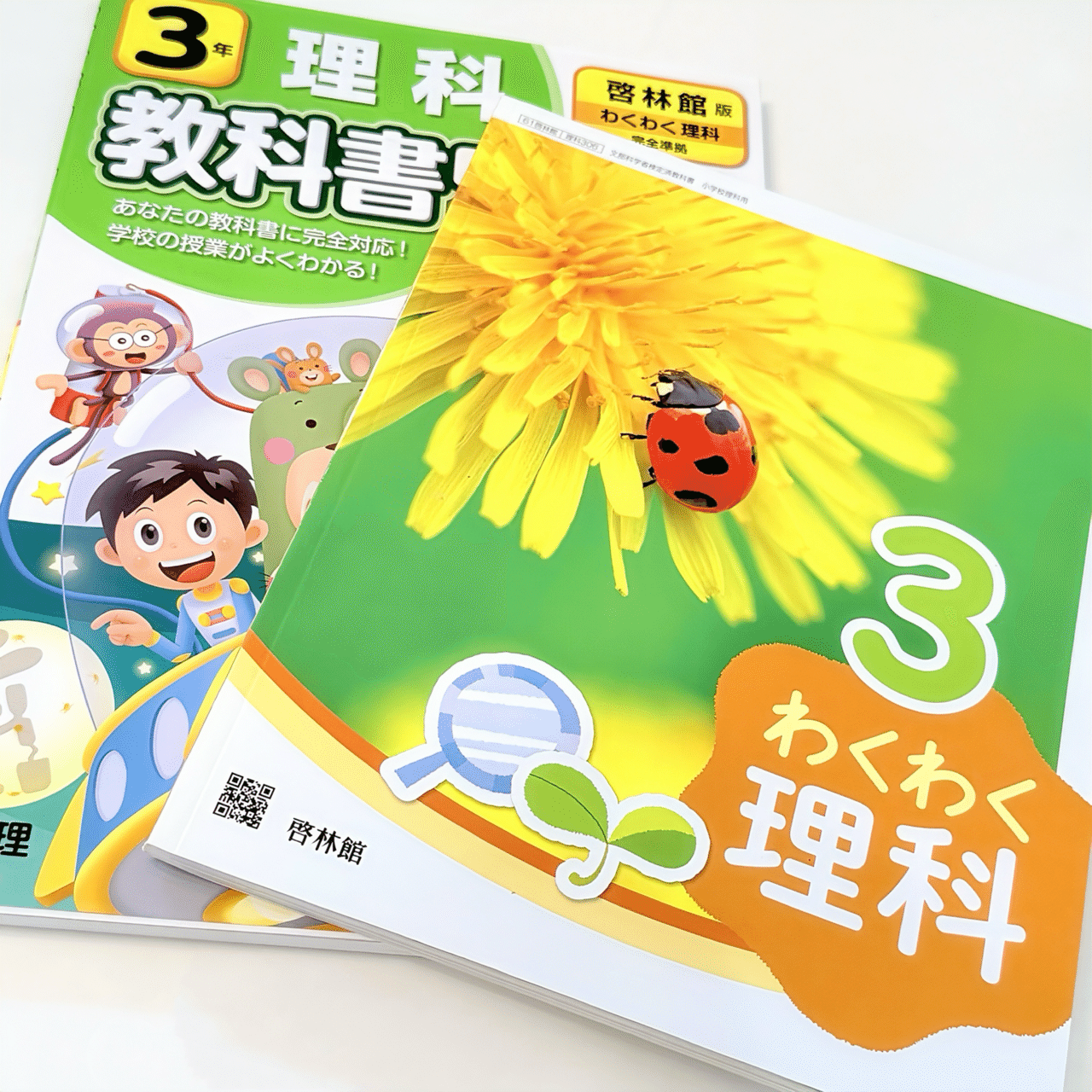 人生2周目スタート｜吉田あや