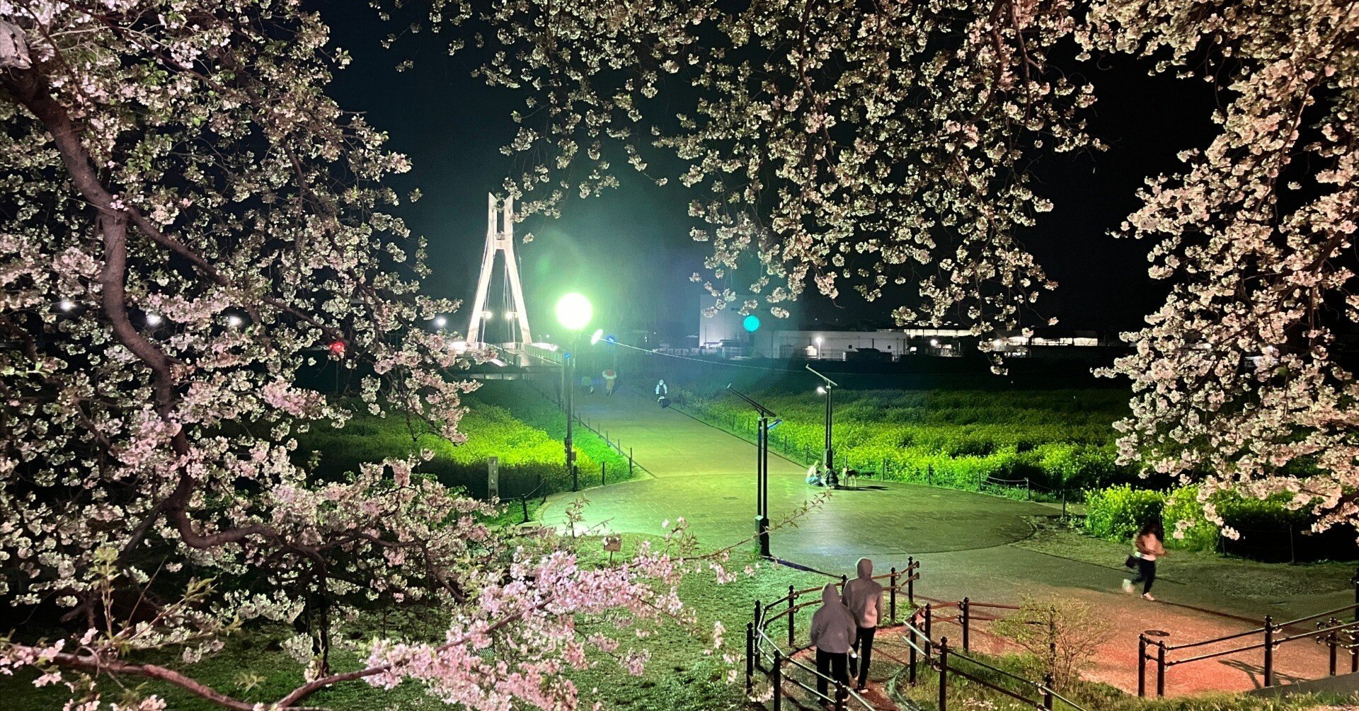 ところざわサクラタウン～高麗神社～都幾川～吉見さくら公園～さきたま