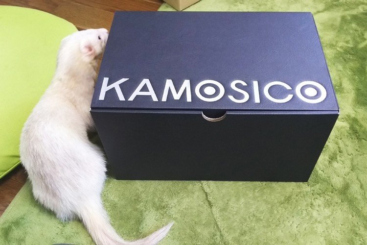 Kamosico かもしこ って何だ 手作り塩麹と醤油麹と甘酒と Duck Works ももねこ Note Kamosico かもしこ って何だ 手作り塩麹と醤油麹と甘酒と Duck Works ももねこ Note