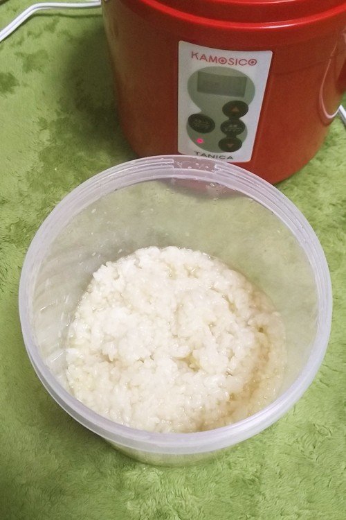 Kamosico かもしこ って何だ 手作り塩麹と醤油麹と甘酒と Duck Works ももねこ Note