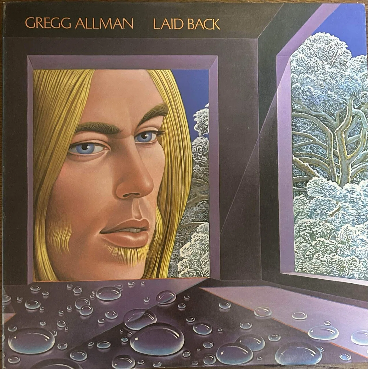 GREGG ALLMANのレコード｜domus