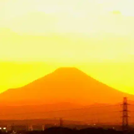 藤えり