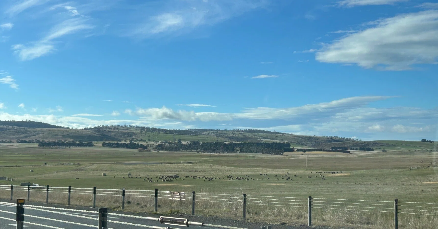 タスマニア旅行記】羊を数えながら320km縦断ドライブ｜クレイドル
