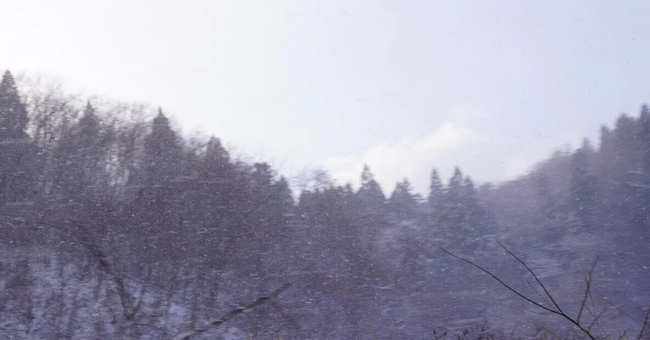 I Went to Worship: Luke 1:57-80｜タリコ in秋田市