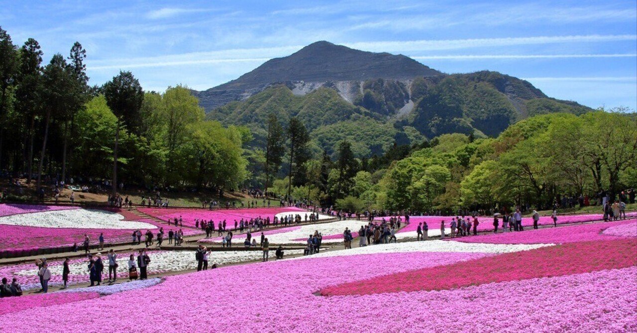 秩父・長瀞】都心から行きやすい、自然を感じたい人へおすすめの場所