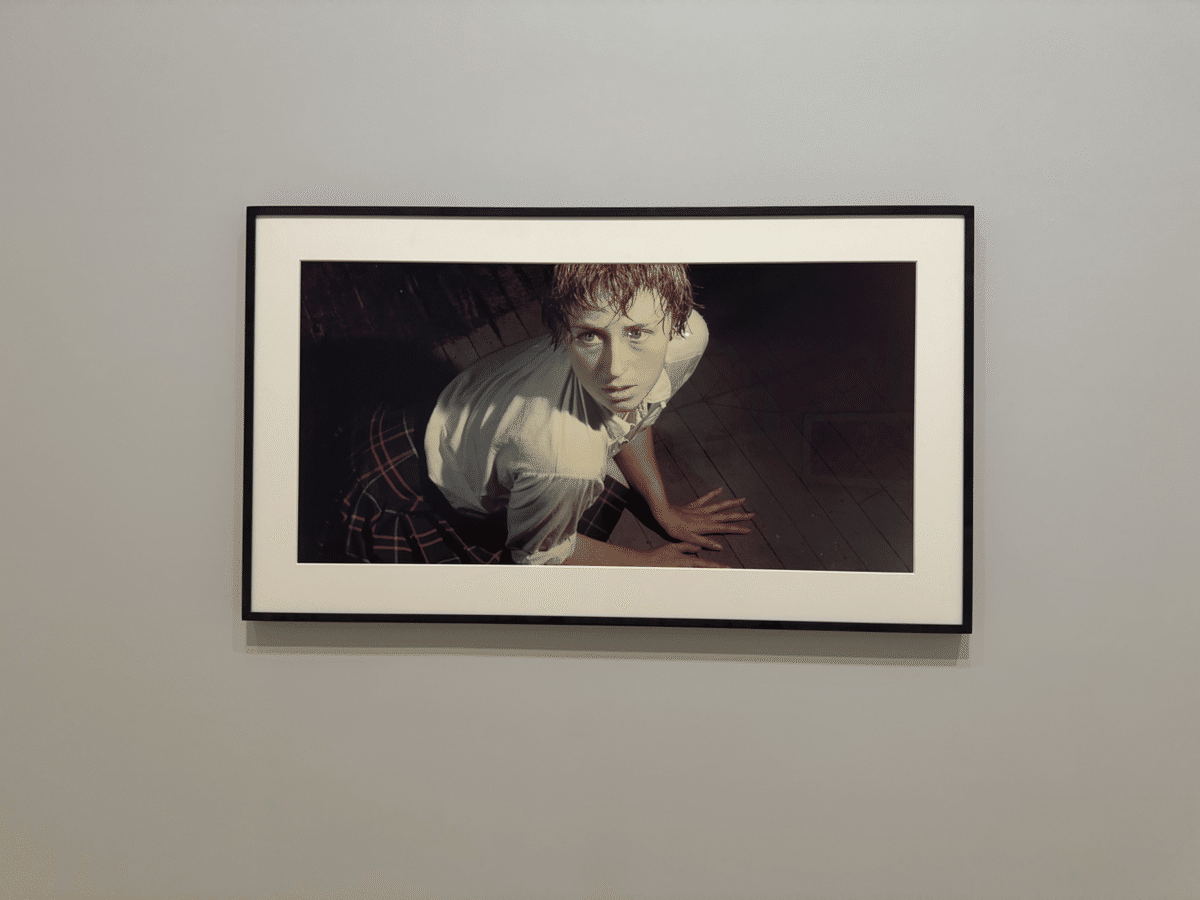 英語初心者】ややジェネリックに巡るニューヨーク・シカゴ美術館記⑥6