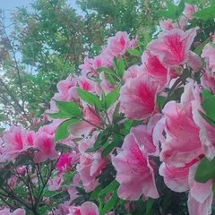 起業の方程式』著者の粂田さんがゲスト！4/24（金）人生を遊び倒すため